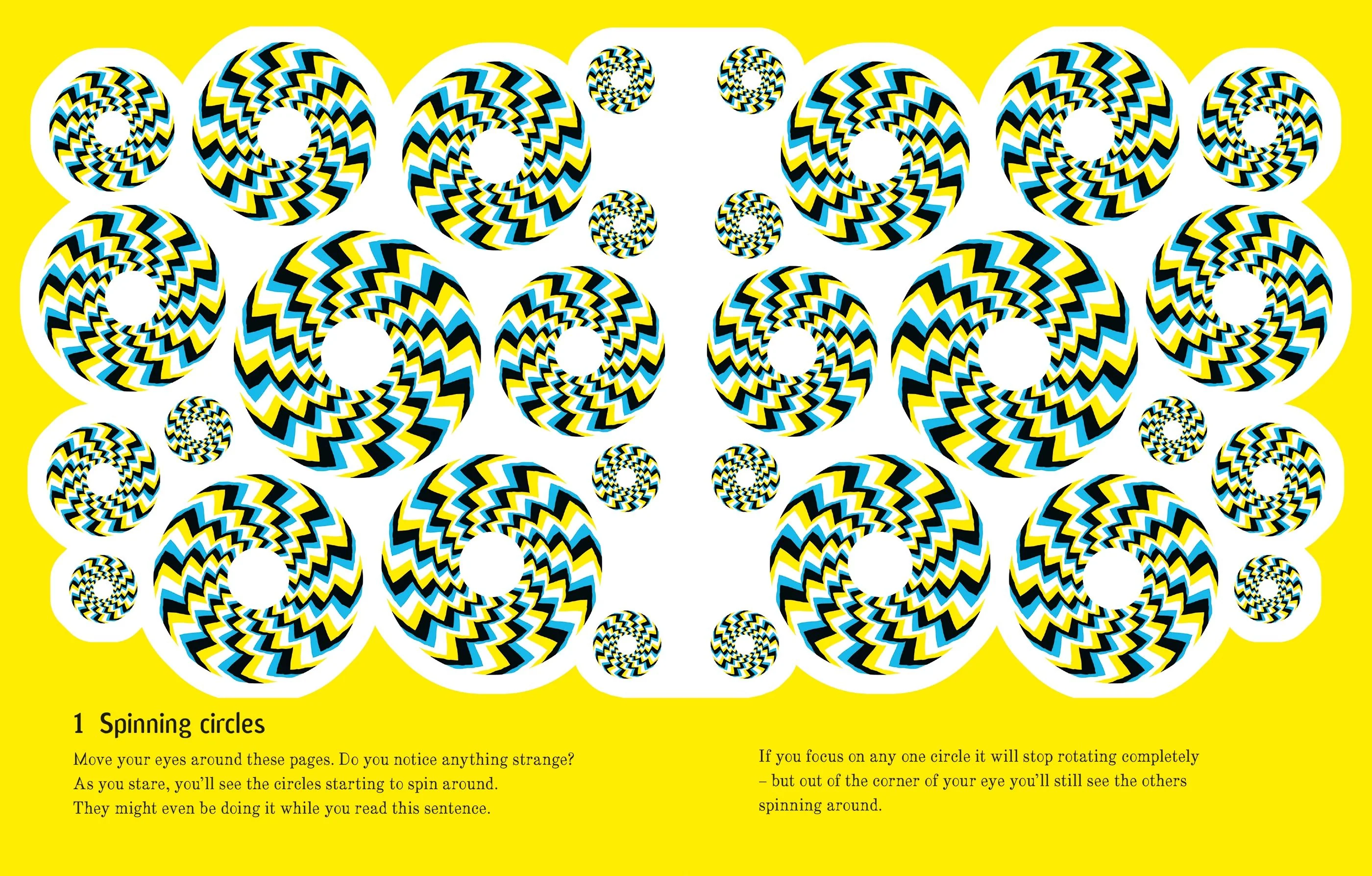 101 Optical Illusions Book - Image 2