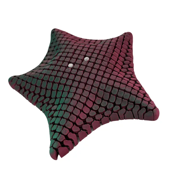 Articulated Starfish Fidget
