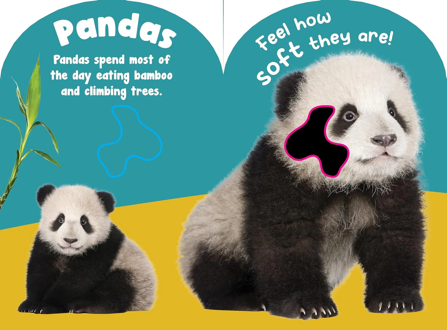 Baby Wild Animals Touch And Feel Board Book - Image 2