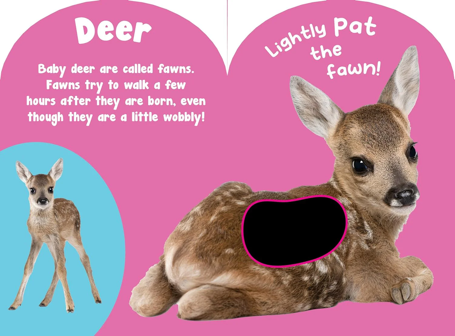 Baby Wild Animals Touch And Feel Board Book - Image 3