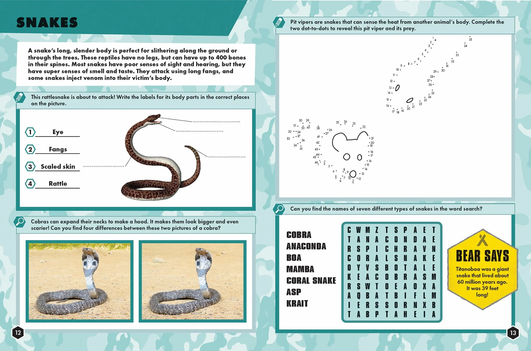Bear Grylls Reptiles And Amphibians Activity Book - Image 2