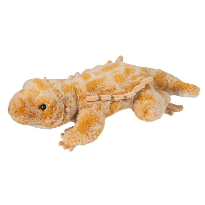 Boogie Bearded Dragon