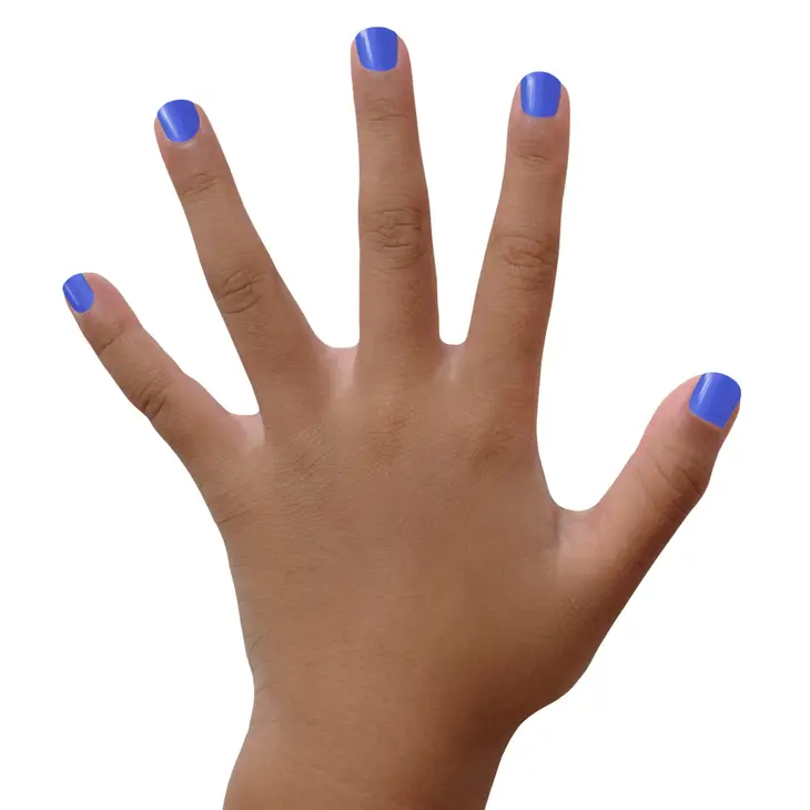 Blueberry Patch Blue Matte Nail Polish - Image 2