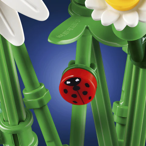 Botanicals Daisies - Image 3