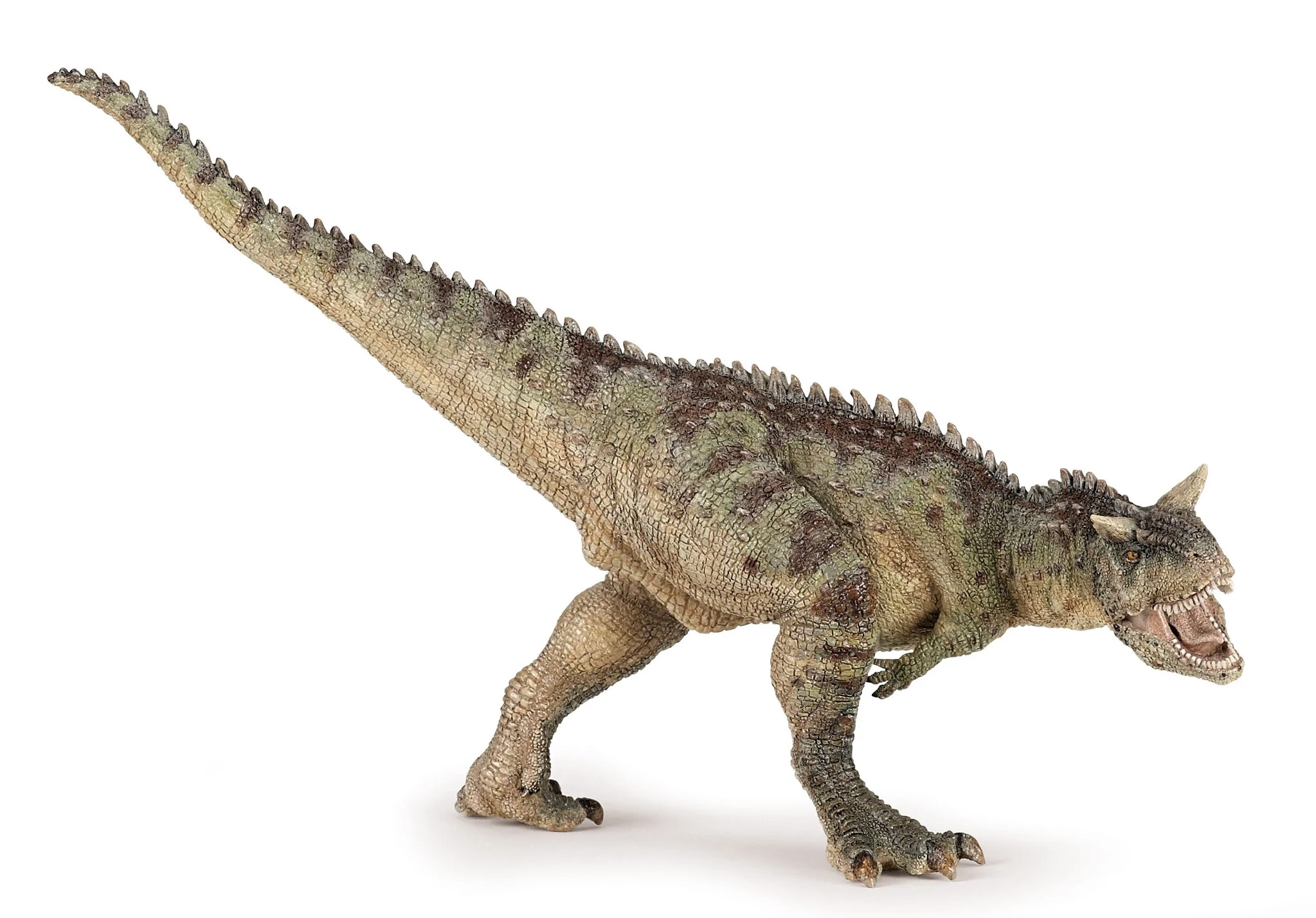 Carnotaurus