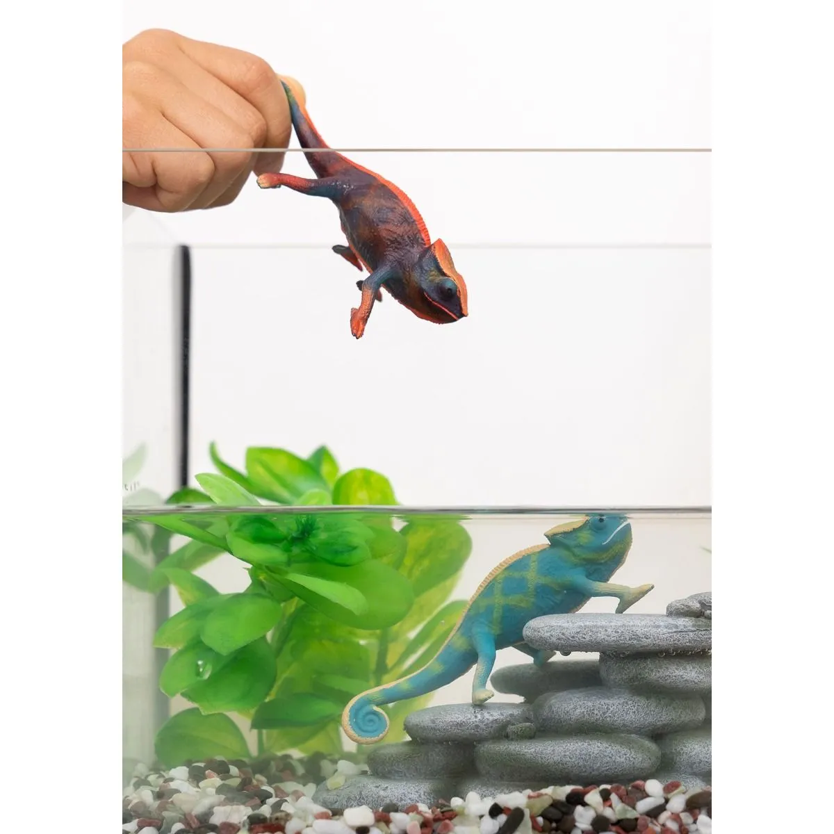 Chameleon - Image 2