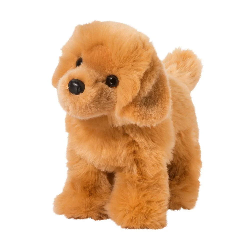 Chap the Golden Retriever