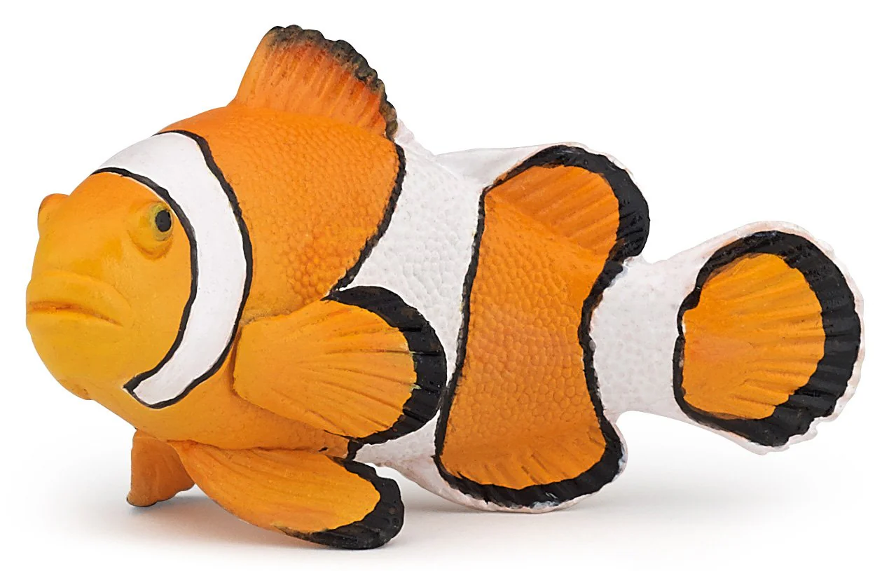 Clownfish