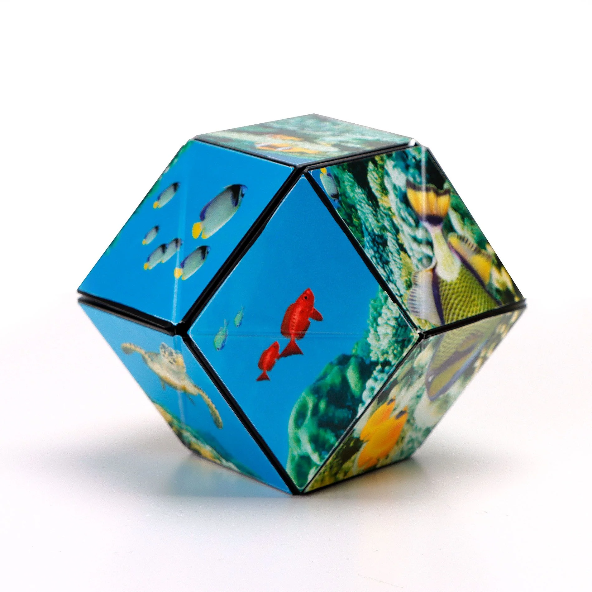 Undersea Shashibo - Image 5