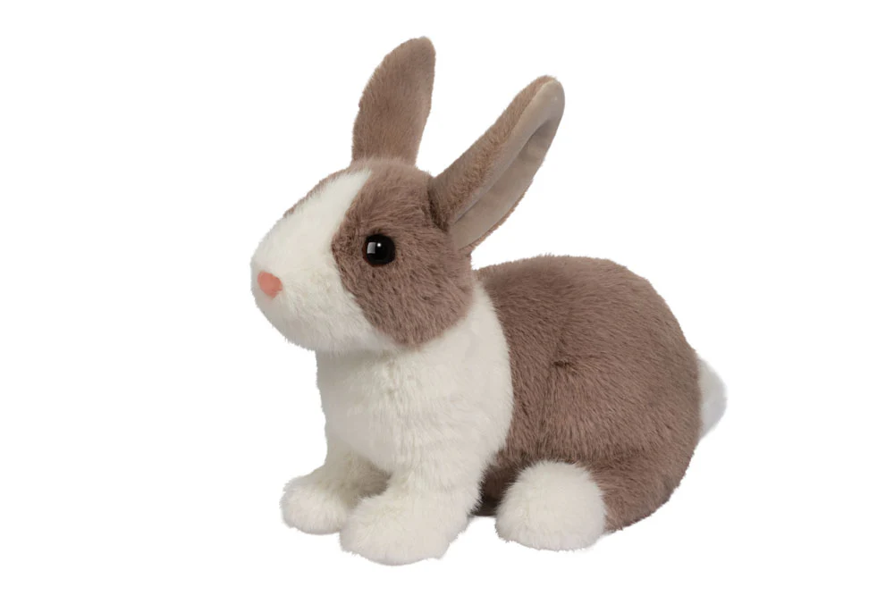 Daffodil Dutch Bunny
