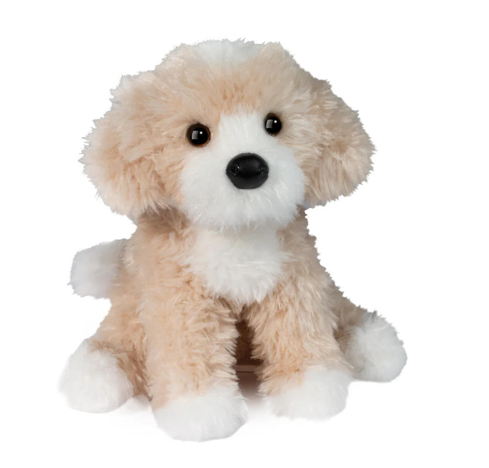 Darcy Goldendoodle