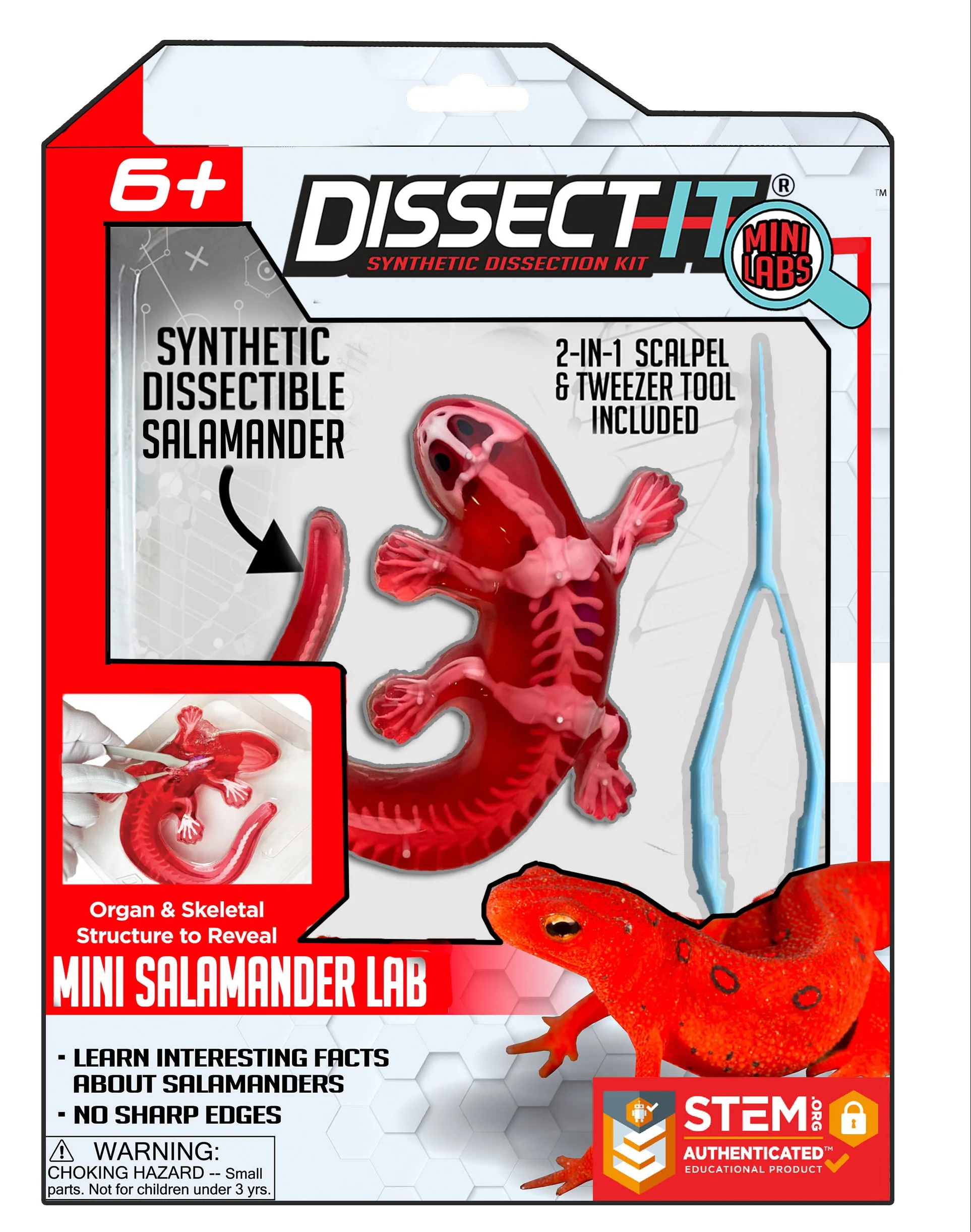 Dissect-It Mini Labs - Image 3
