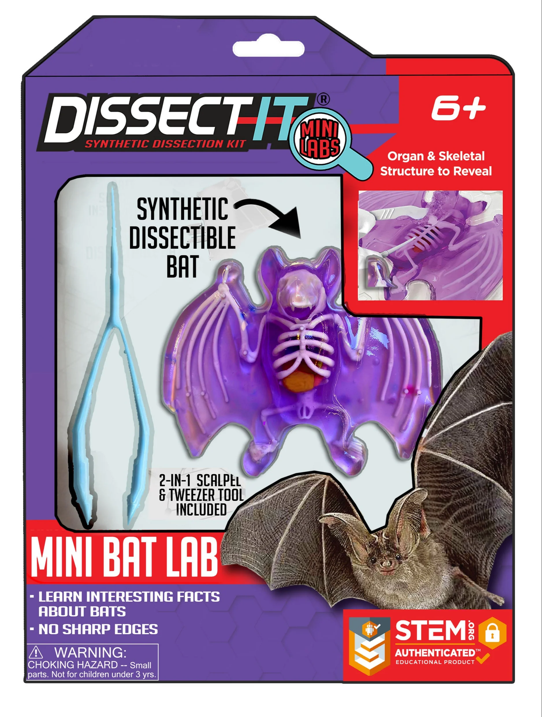 Dissect-It Mini Labs - Image 5