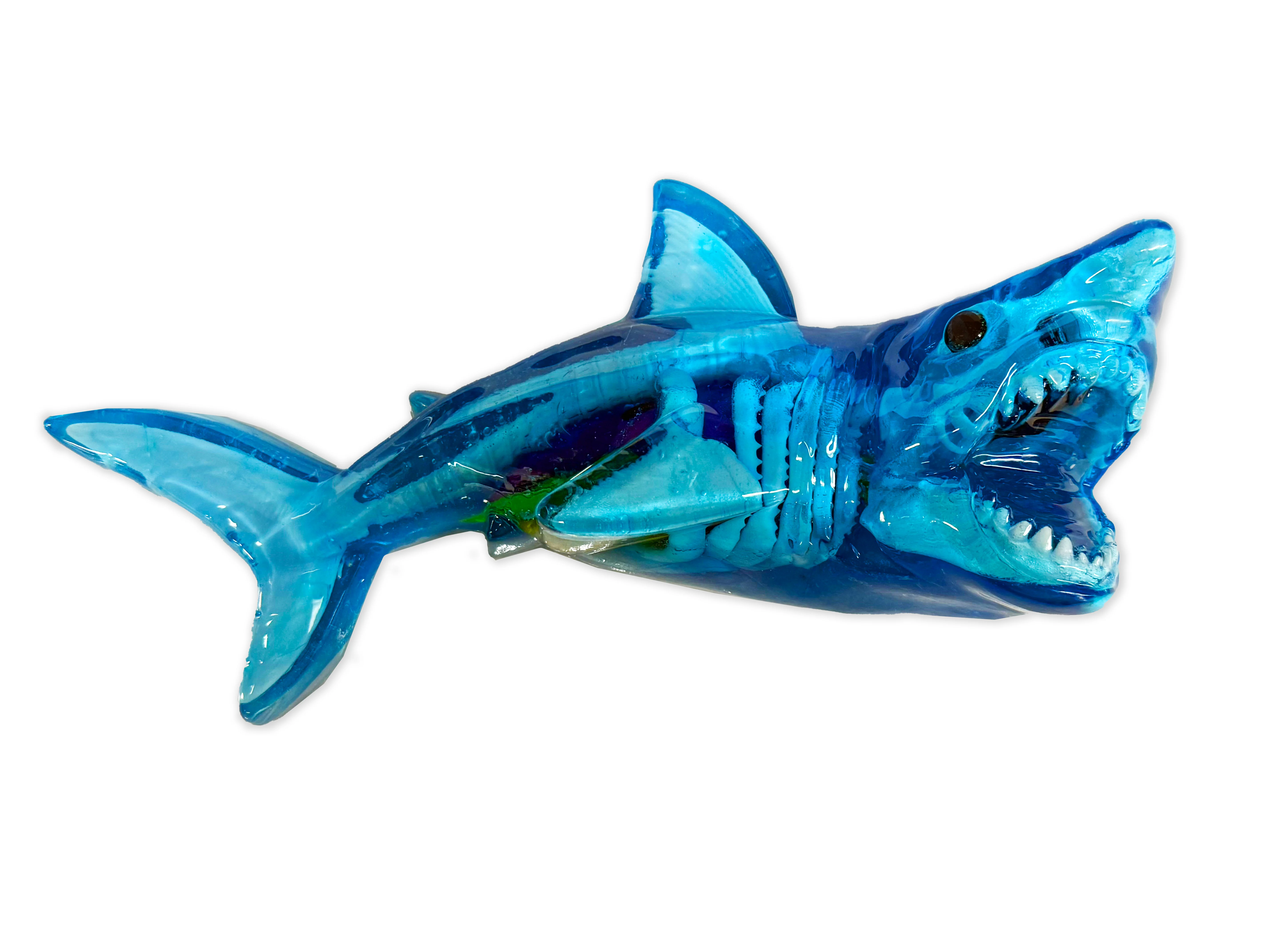 Dissect-It Shark Lab - Image 4