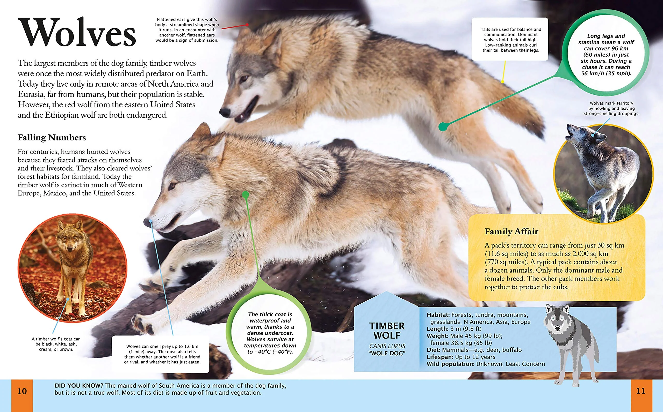 Children's Encyclopedia Of Animals - Image 2