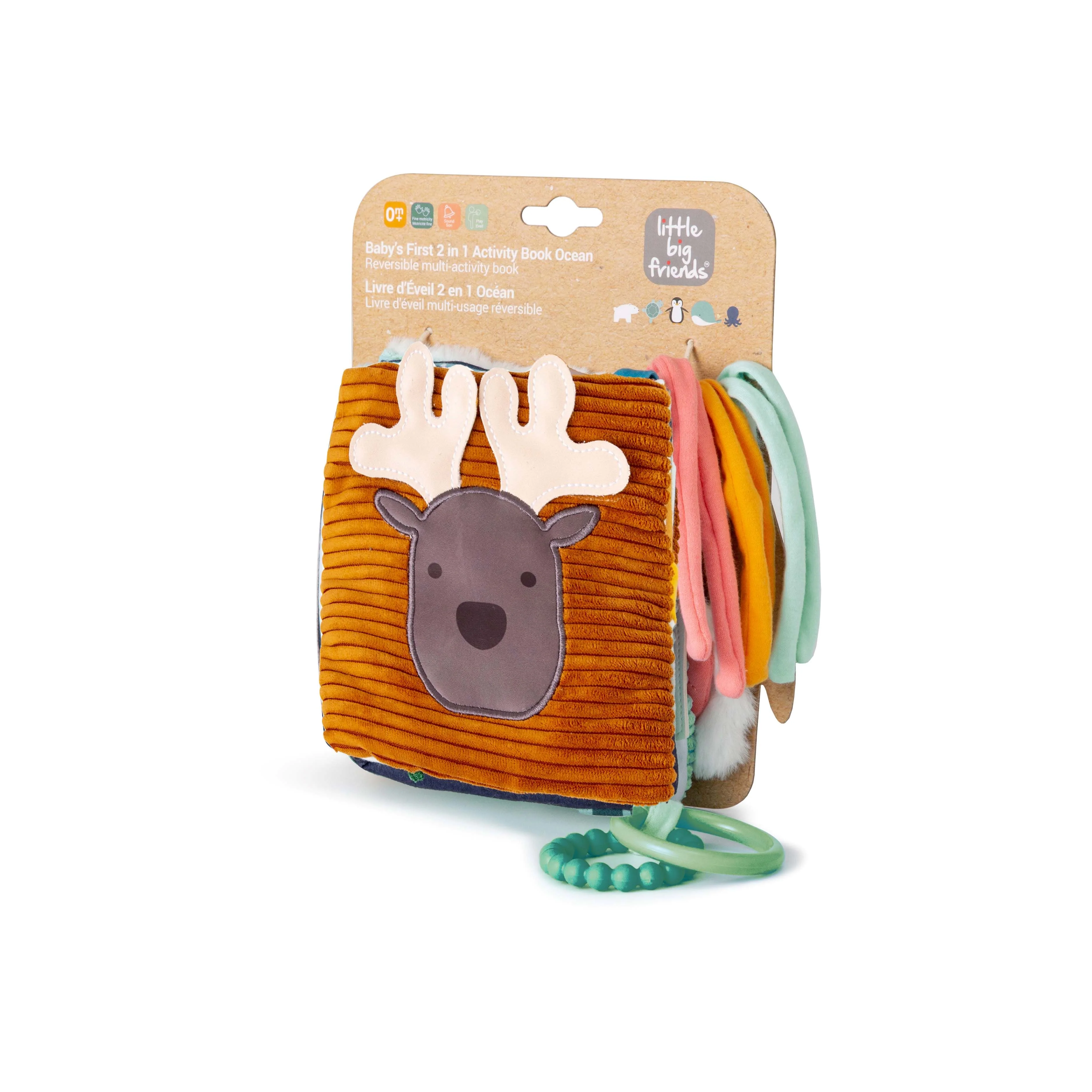 Forest Soft Activity Book 2-In-1