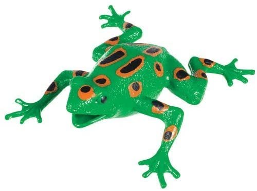 Frog Squishimals - Image 2