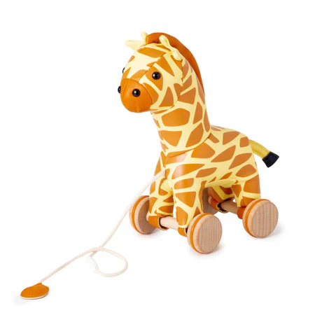 Gina The Giraffe Pull Along Friends
