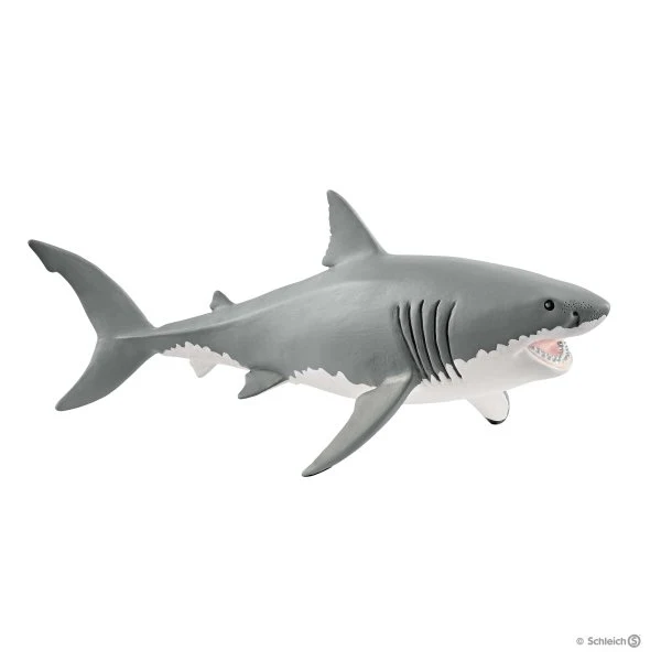 Great White Shark