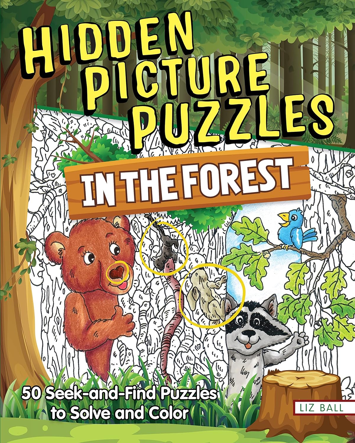 Hidden Picture Puzzles In The Forest Book