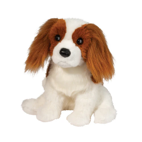 Kingsley King Charles Cavalier