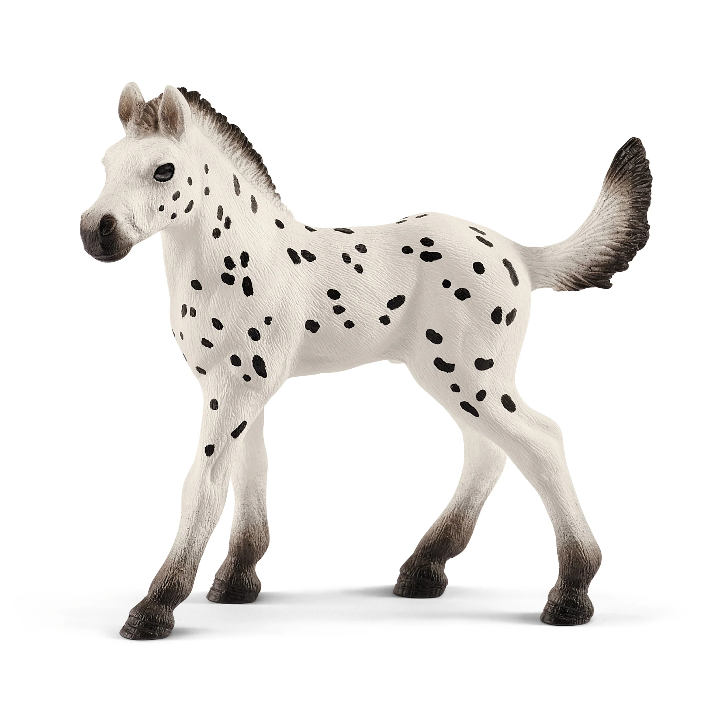 *Knabstrupper Foal
