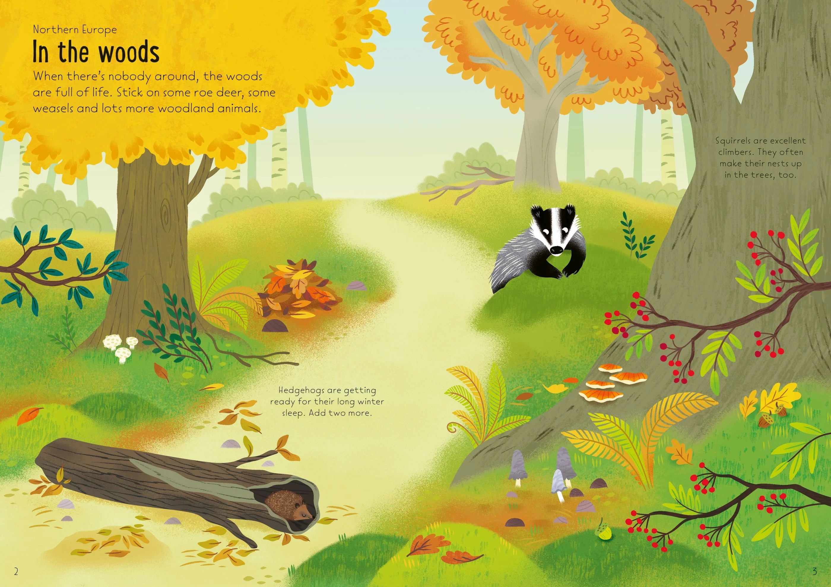 Little First Stickers Nature Book - Image 2