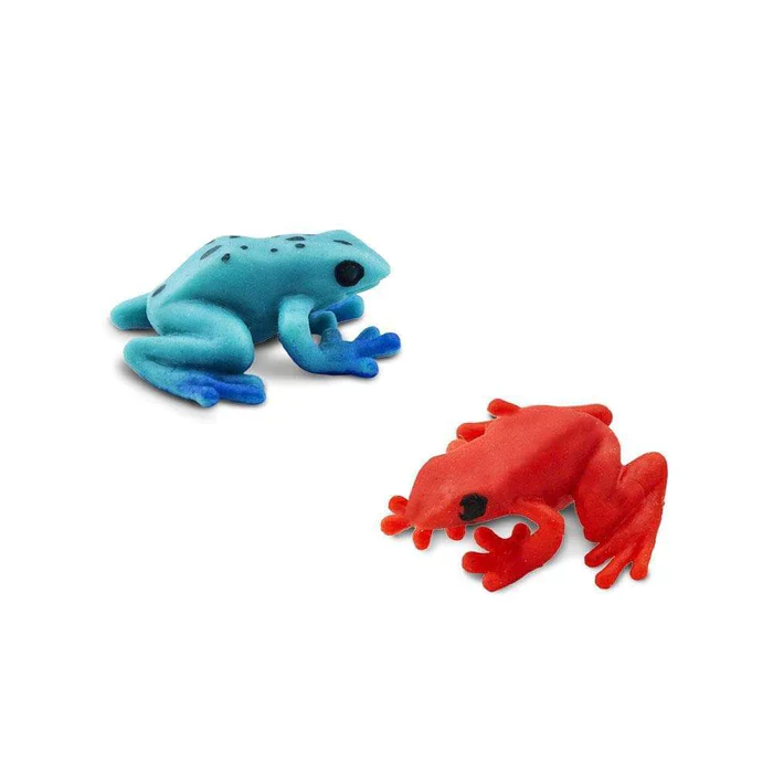 Mini Poison Dart Frogs