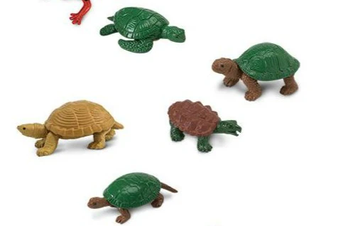 Mini Turtle