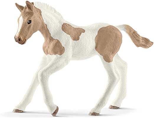 Paint Horse Foal