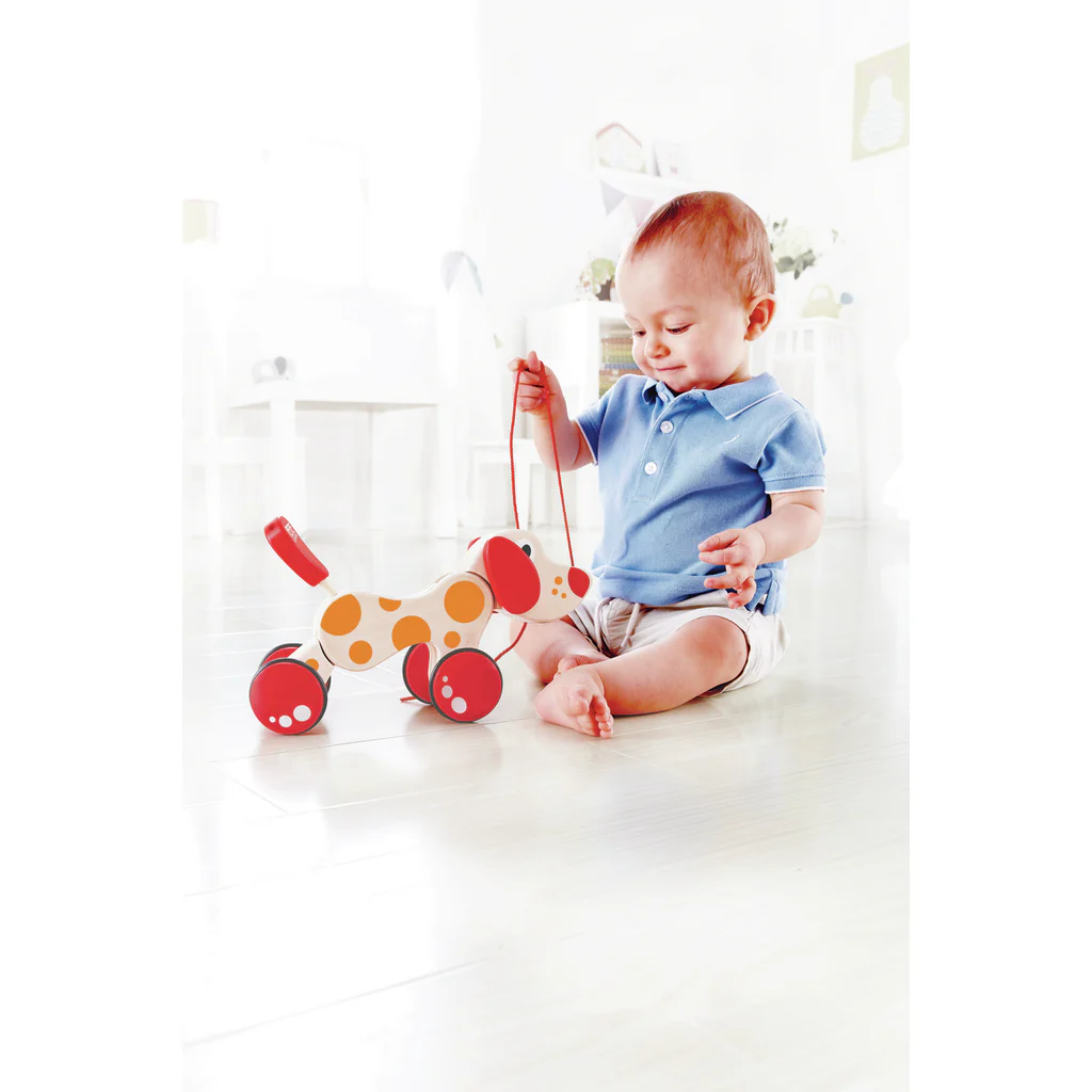 Pepe Pull Toy - Image 4