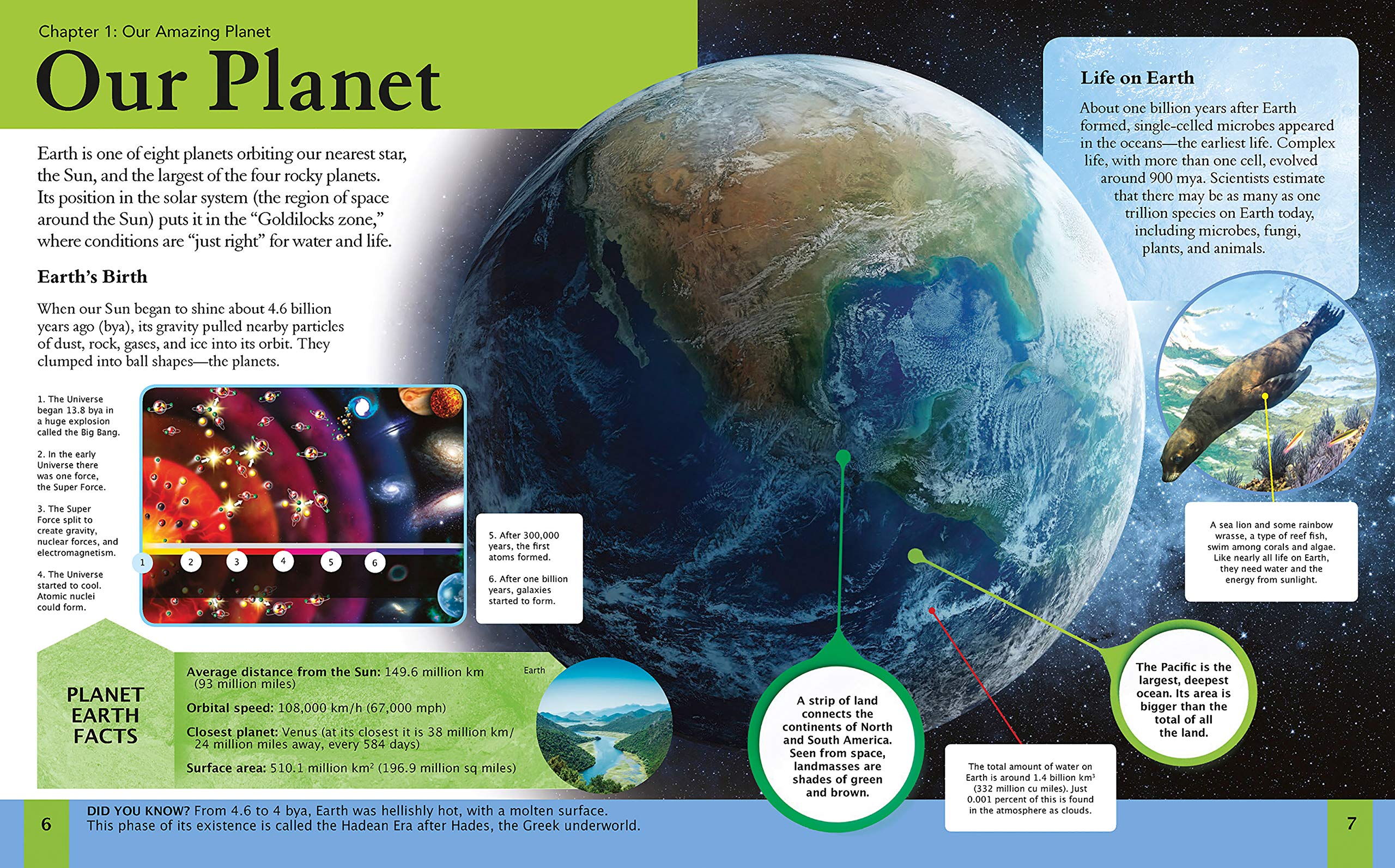 Children's Planet Earth Encyclopedia - Image 2