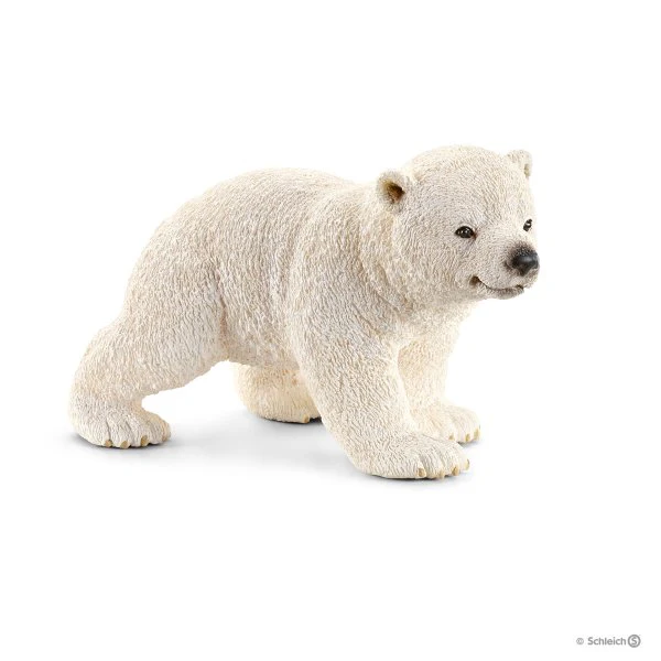 Polar Bear Cub Walking
