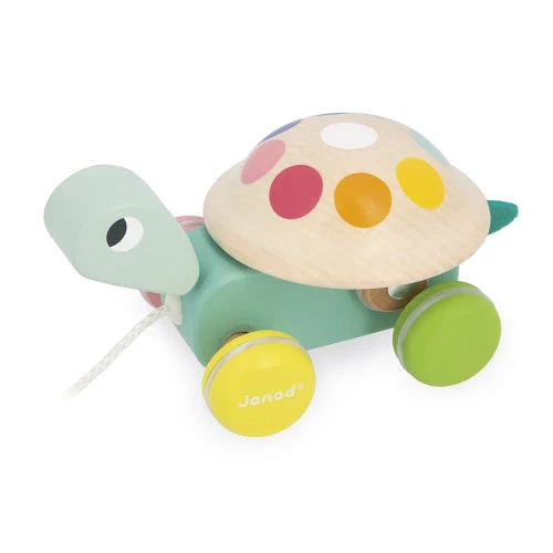 Pull-Along Turtle