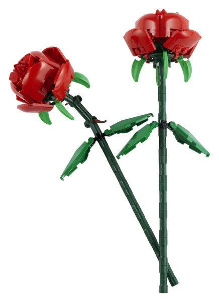 Roses - Image 2