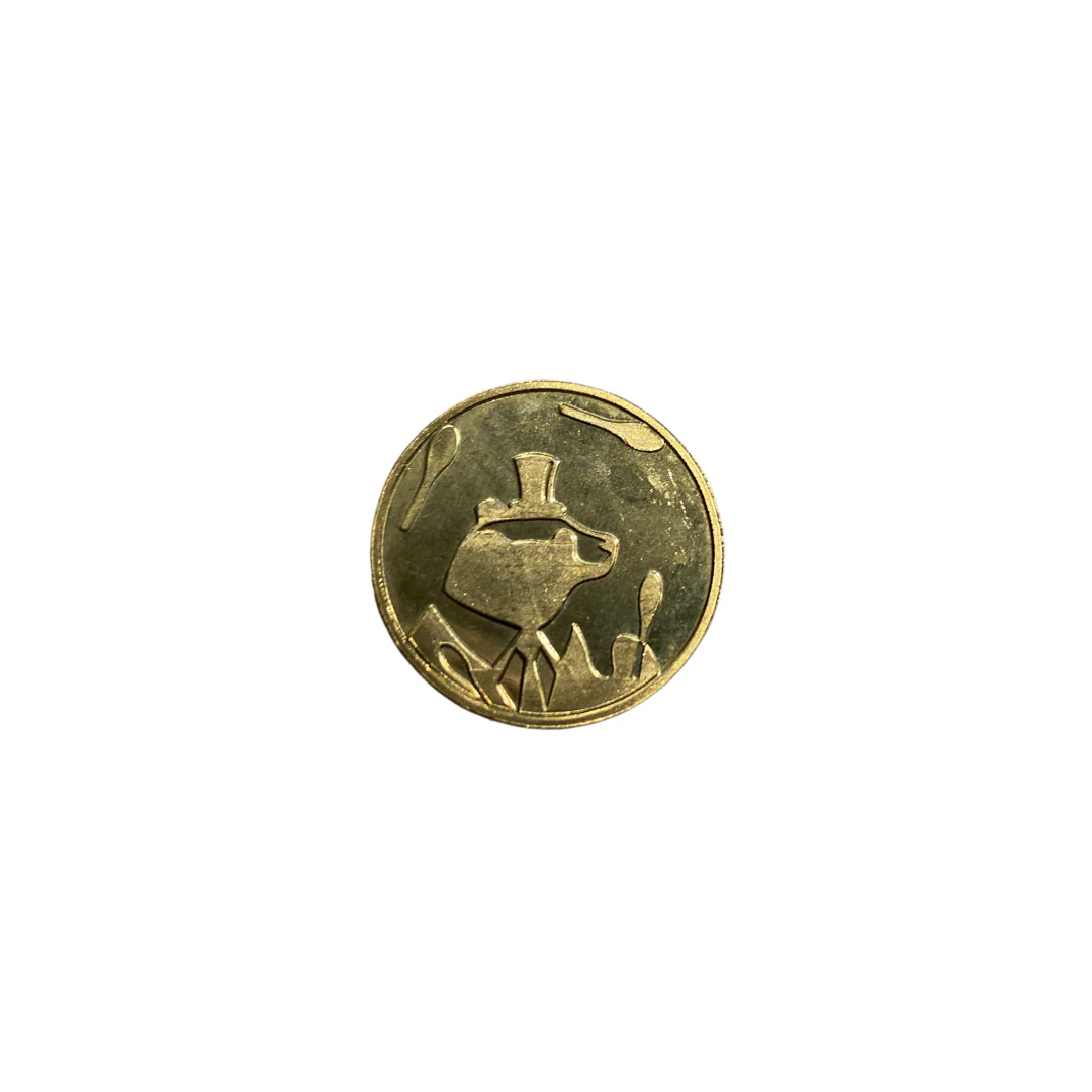 Shenanigans Coins - Image 3