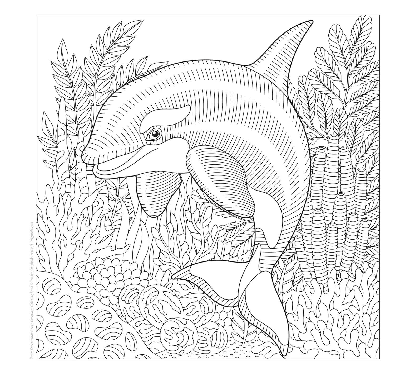Spectacular Ocean Creatures Coloring Book - Image 2