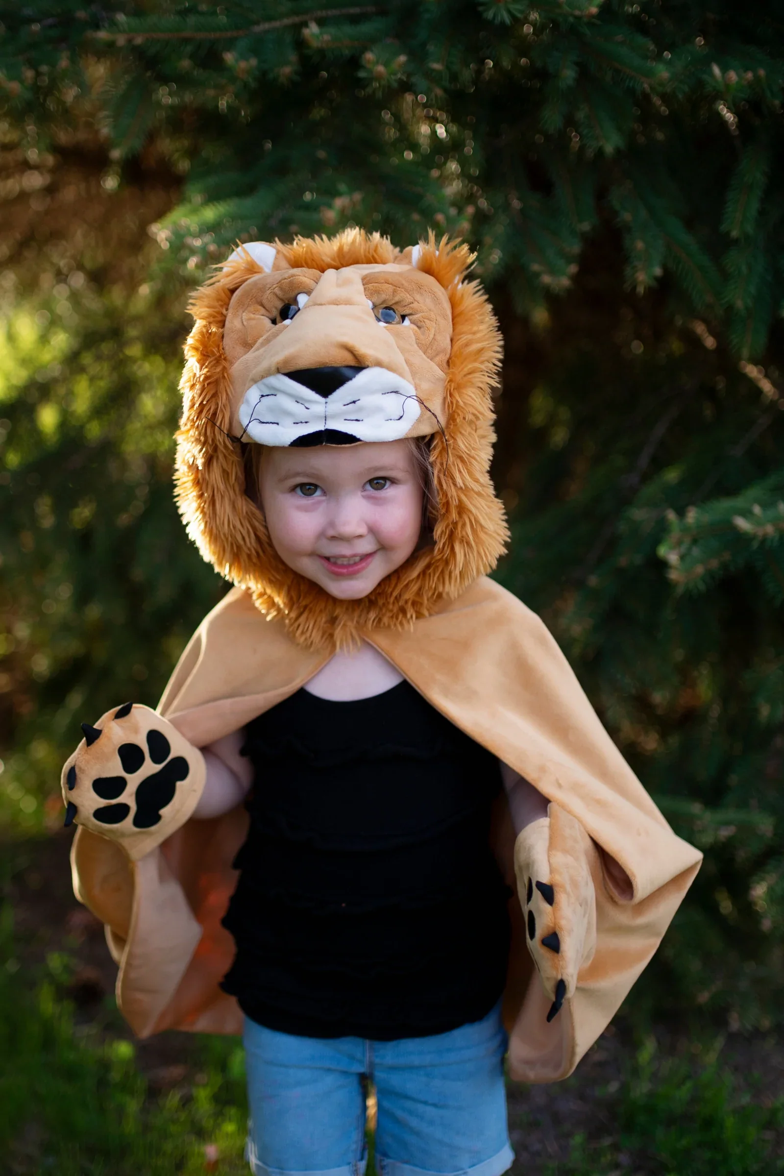 Storybook Lion Cape - Image 4
