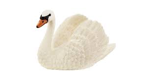 Swan