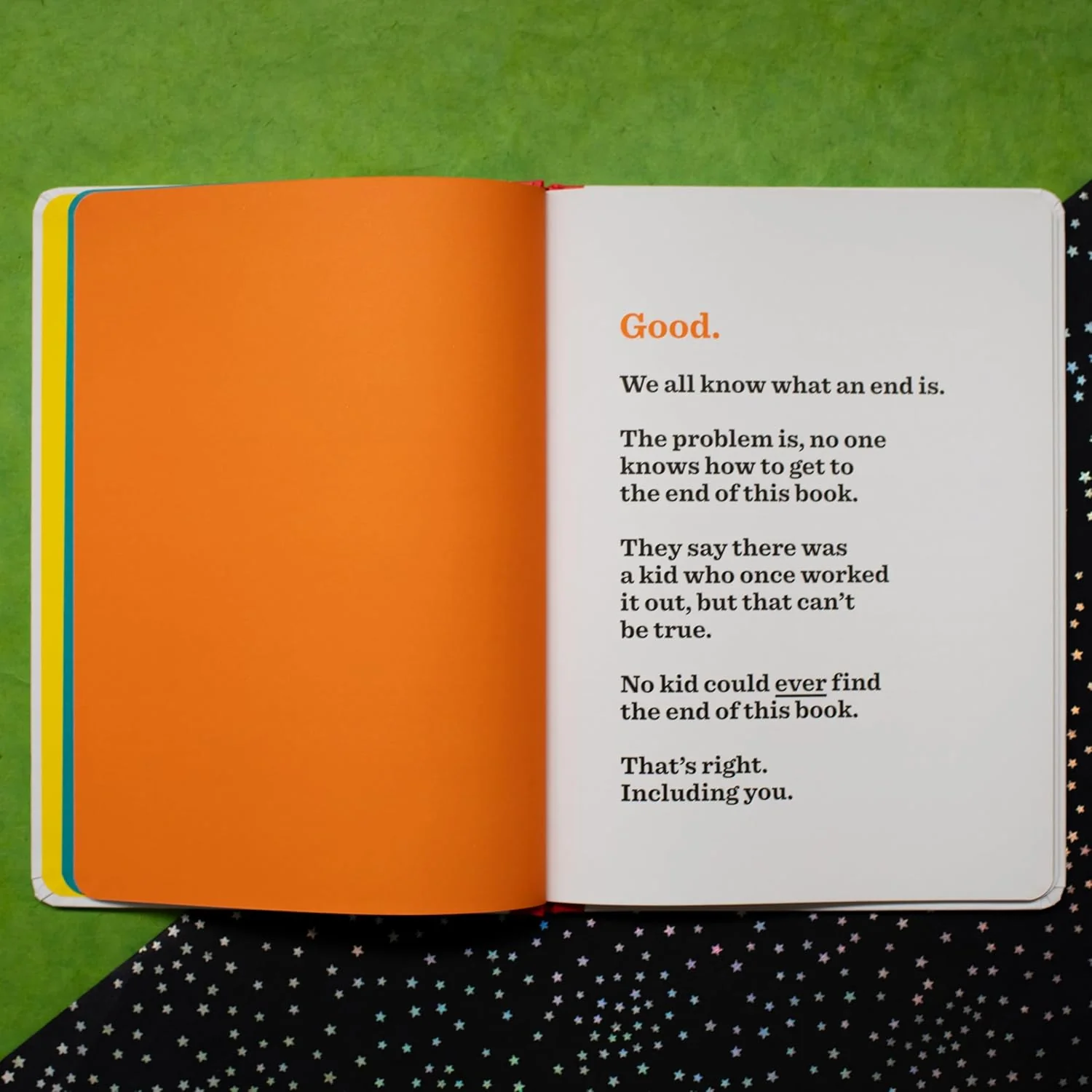 The Book That Never Ends: Books That Drive Kids Crazy Book - Image 2