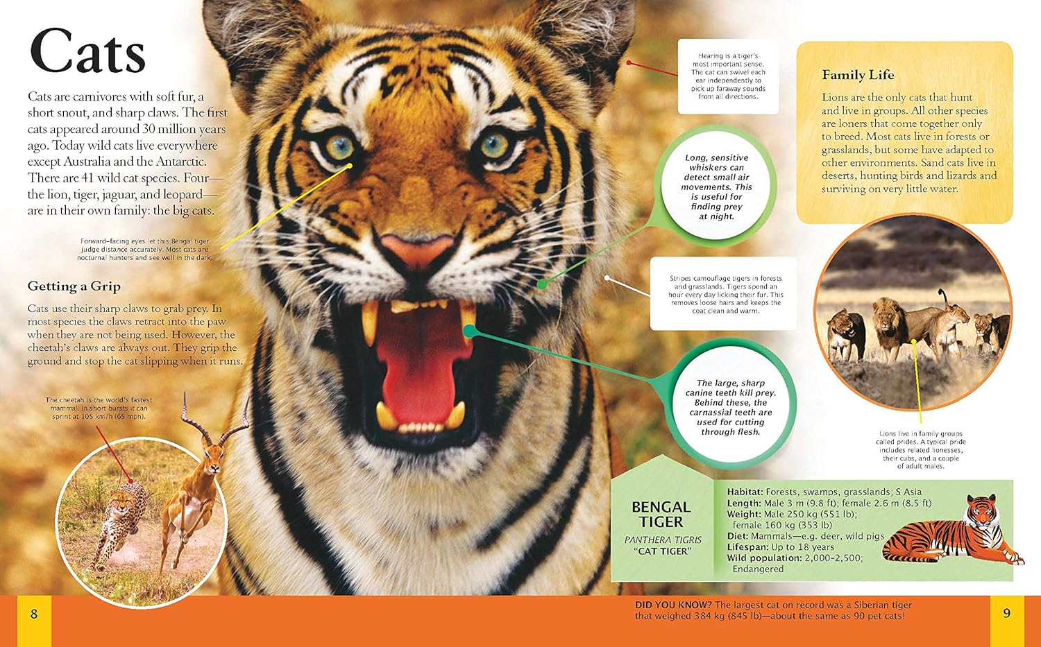 The New Children's Encyclopedia: Science, Animals, Human Body, Space And More! Book - Image 2
