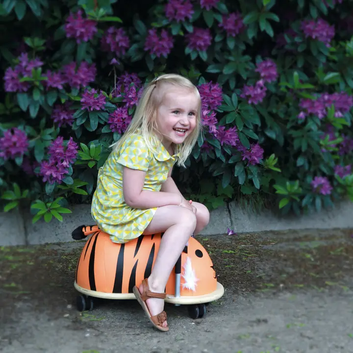 Tiger Wheely Bug - Image 2