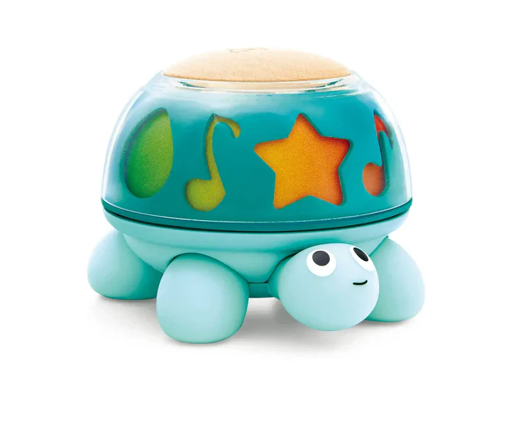 Twist & Turn Turtle