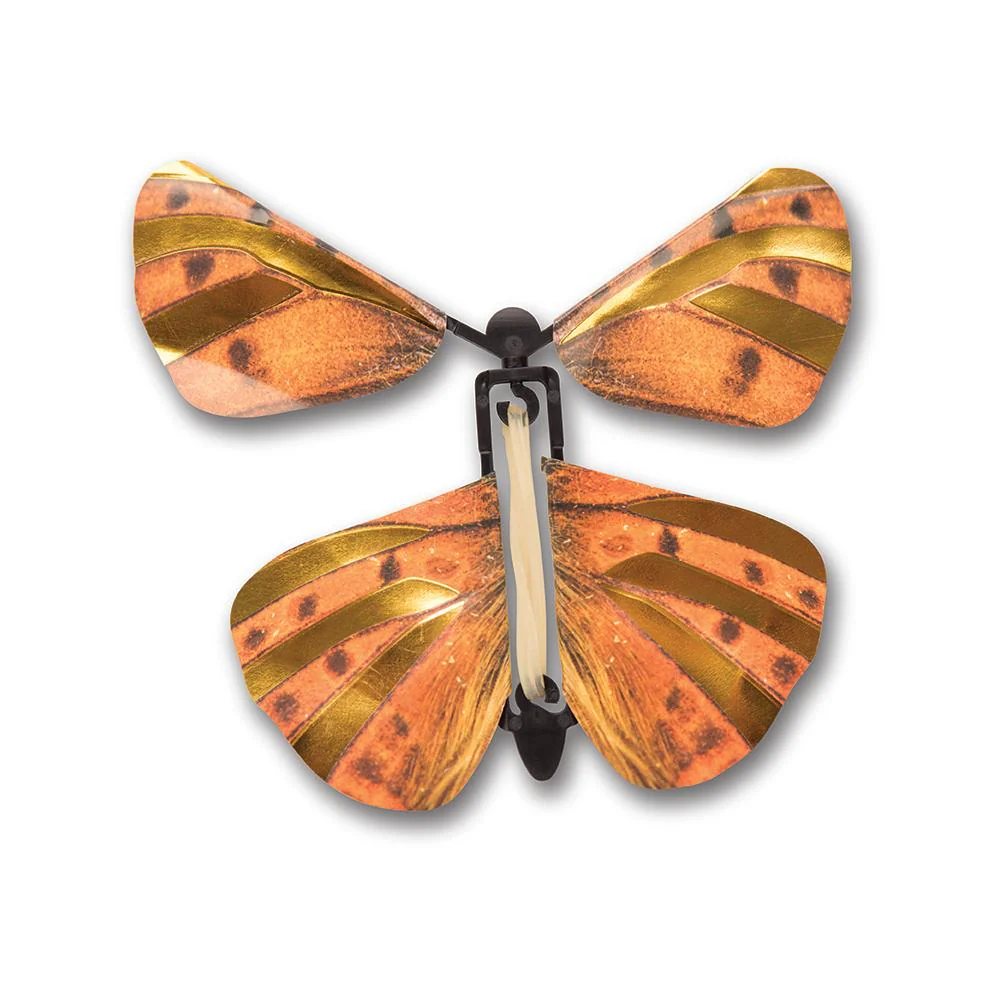Wind Up Butterflies - Image 3