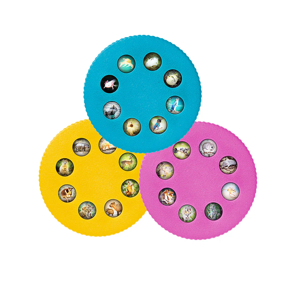 Wonder Lights Cute Animals Flashlight Projector - Image 3