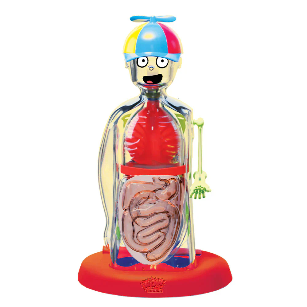Wow In The World The Amazing Human Body - Image 2